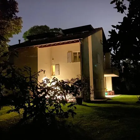 Acero Giallo-2