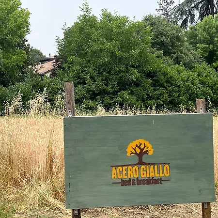Acero Giallo-3